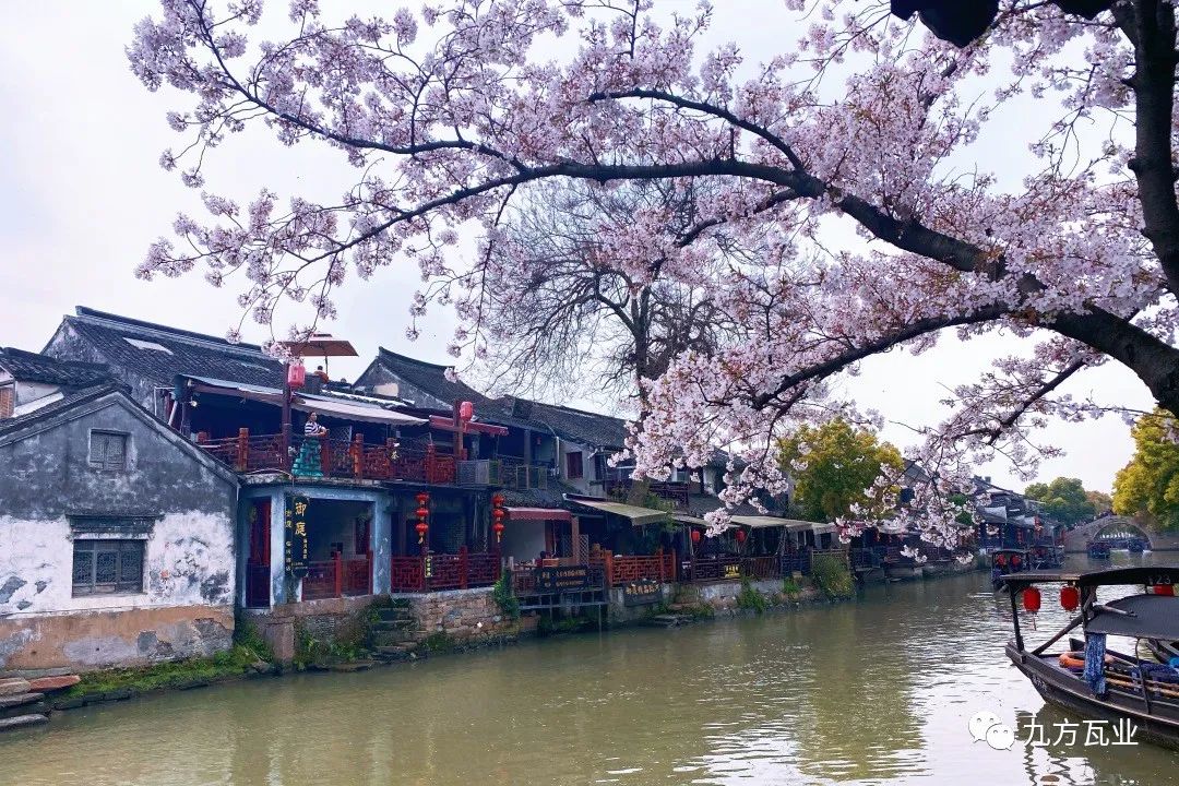 江南春色宛如梦，，，，，，，，梦在屋舍墙瓦间——威客电竞江浙项目案例鉴赏